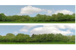 95397 147A Trees OO Gauge